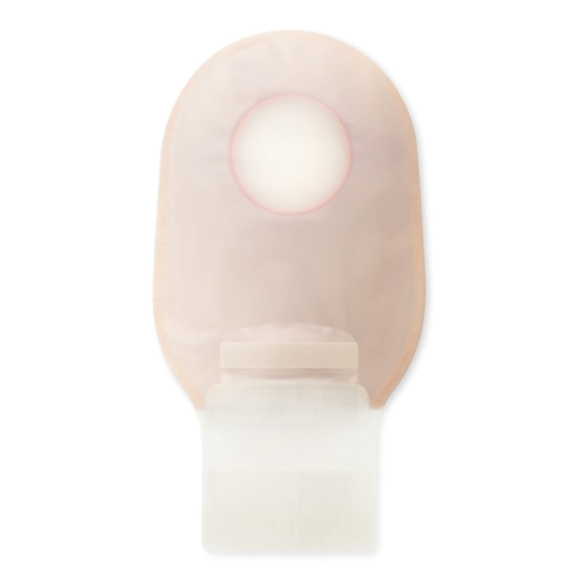 Hollister Pouchkins 3799 back on white. Exact manufacturer item view.