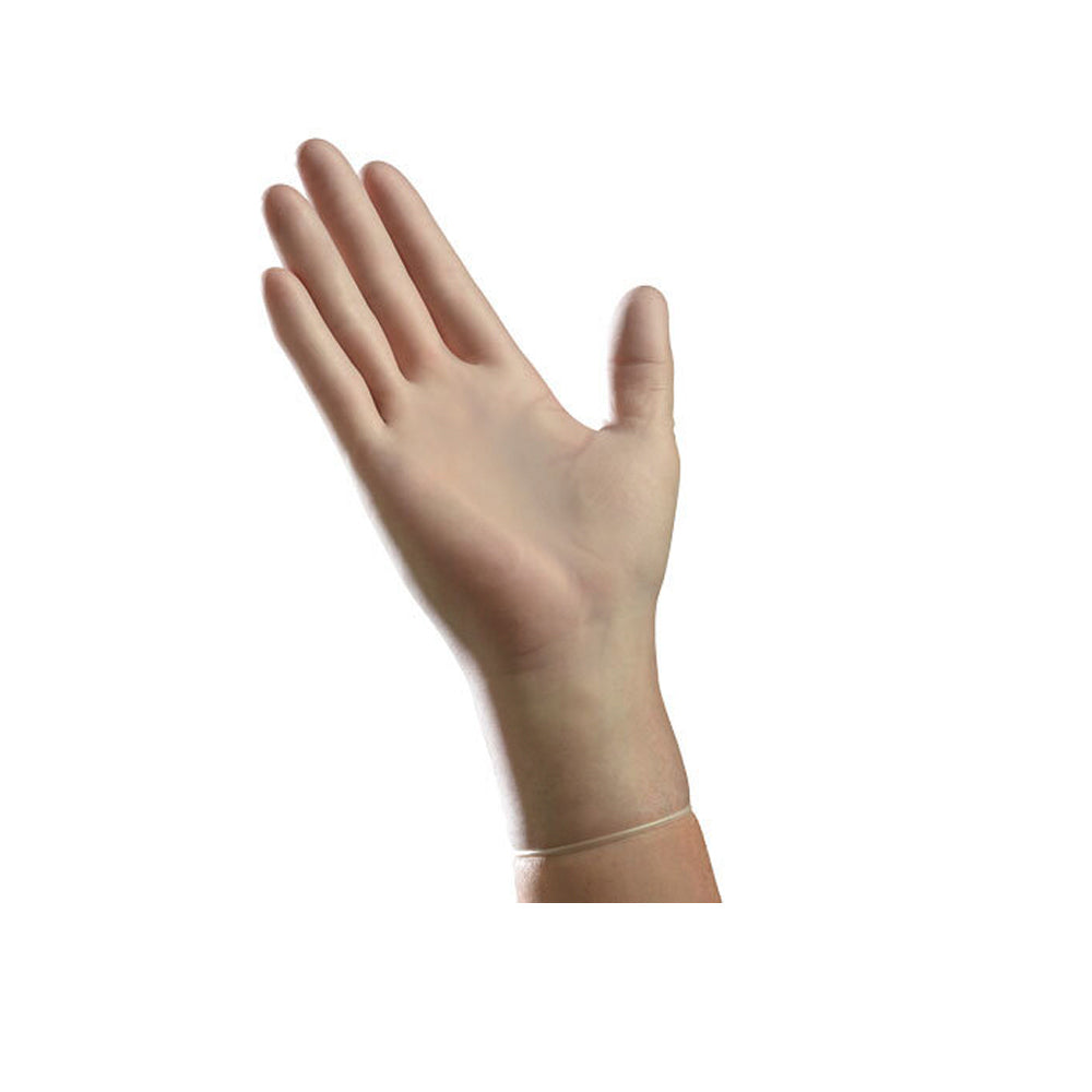 Vinyl Exam Gloves - Powder Free